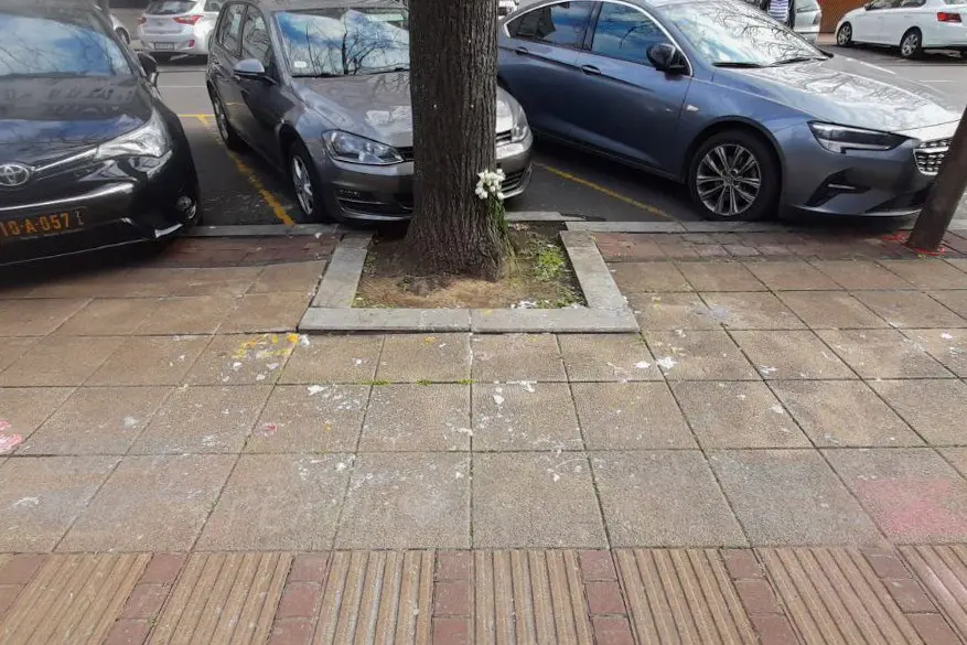 Мемориал Навальному у российского посольства в Белграде, Сербия. Источник: предоставлено Российским Демократическим Обществом.