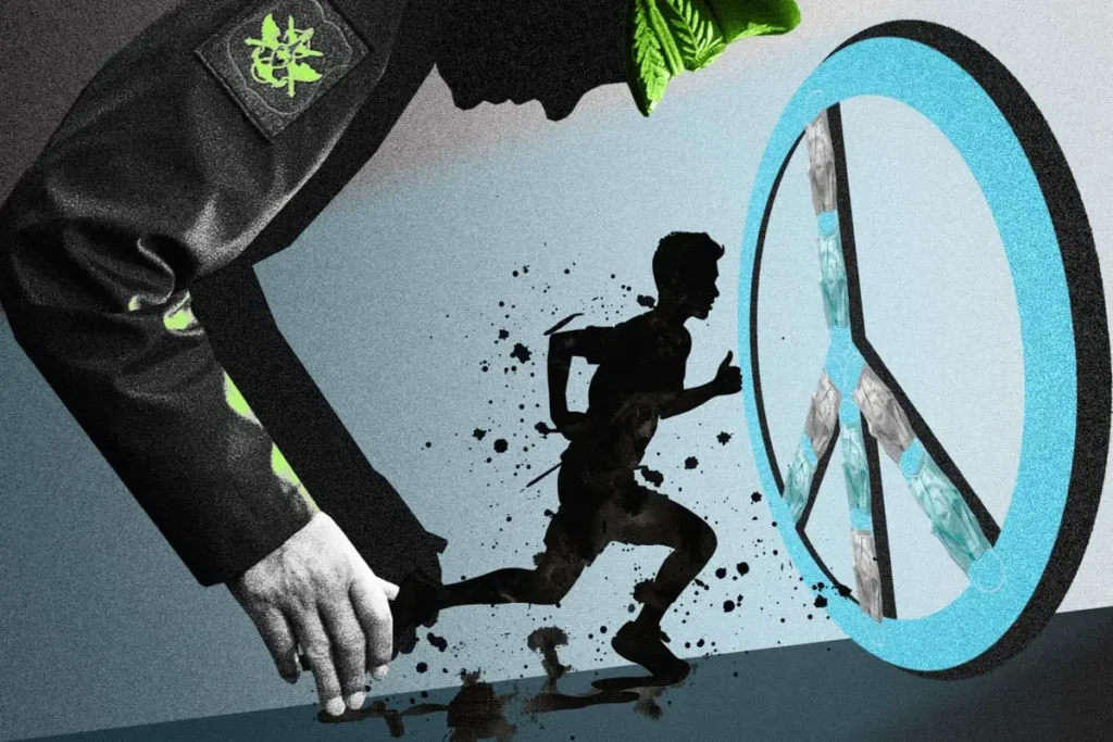 Альтернативная гражданская служба