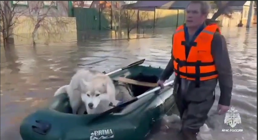 Прорыв дамбы в&nbsp;Оренбургской области