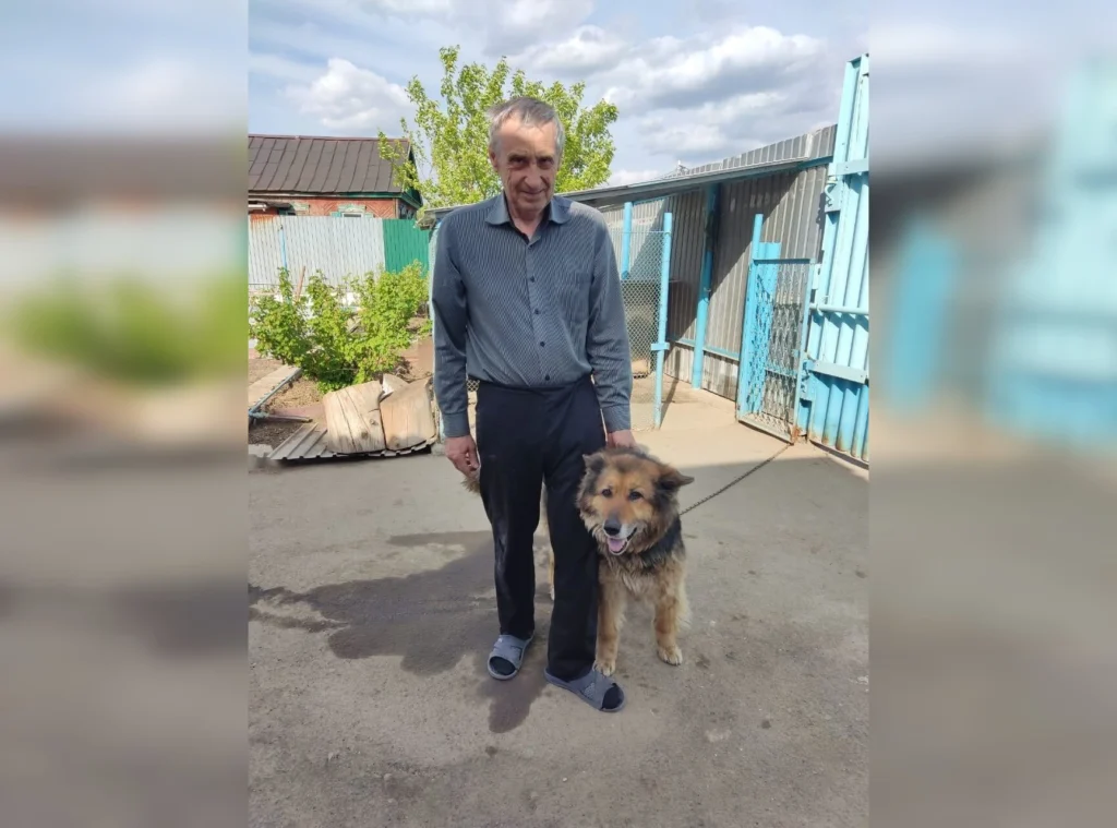 Бездомные животные