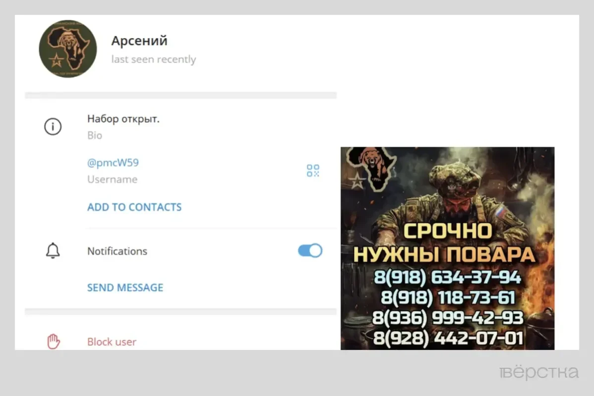 “Африканский корпус” МО фактически заменил ЧВК “Вагнер” в ряде африканских стран