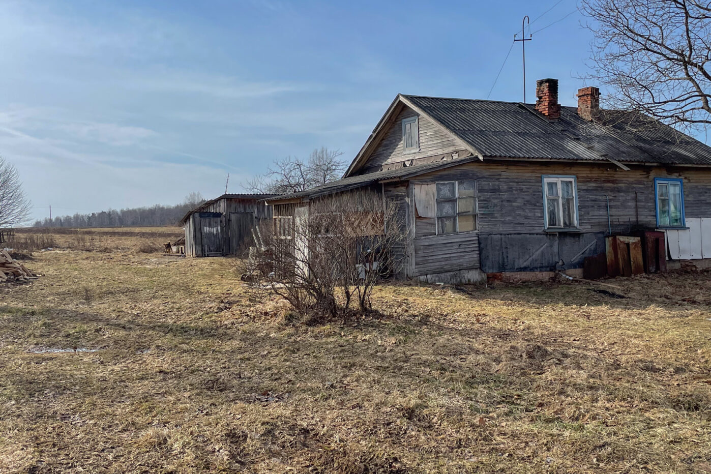 Деревня Никониха Ивановской области