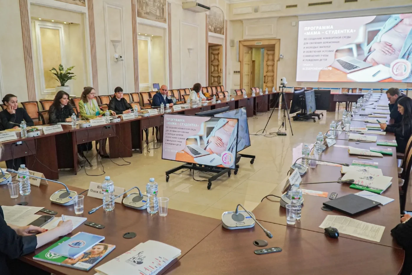 Обсуждение проекта «Мама&nbsp;— студентка» на&nbsp;стратсессия АНО «Всёбеременным-16» в&nbsp;Казани