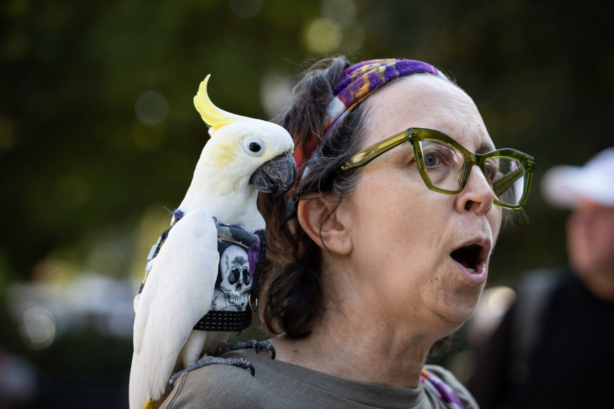 В США и Европе запрещают движение антифашистов. Что происходит и как это повлияет на «антифа» в России