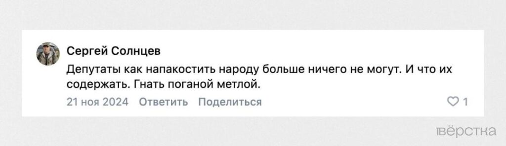 Суд признал экстремизмом призыв гнать поганой метлой депутатов в комментарии к инициативе выдать многодетным семьям лошадь