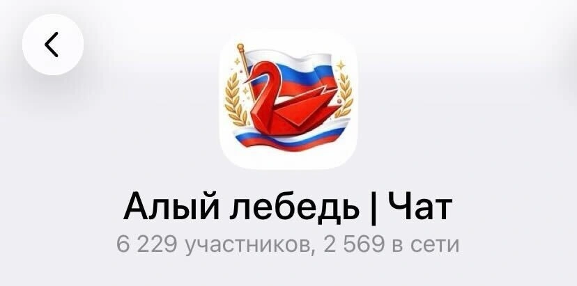Движение «Алый лебедь» стало популярным благодаря TikTok. Там появились видео с призывами выходить на улицы, в частности — на Болотную площадь в Москве